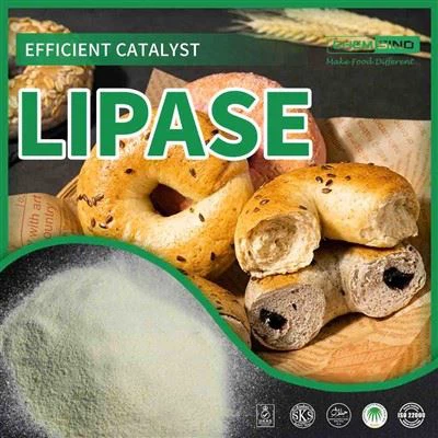 Delikatny dla żołądka, mocny w trawieniu: enzym lipazy NR CAS:9001-62-1