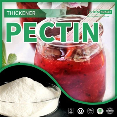 Premium Citrus E440 pektyna do piekarni i produktów mlecznych